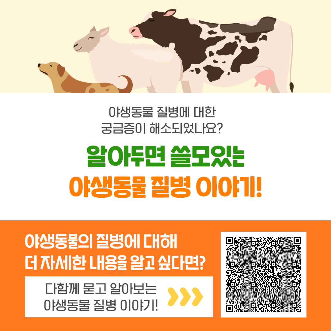 야생동물 질병에 대한 궁금증이 해소되었나요? 알아두면 쓸모있는 야생동물 질병 이야기! 야생동물의 질병에 대해 더 자세한 내용을 알고 싶다면? 다함께 묻고 알아보는 야생동물 질병 이야기!