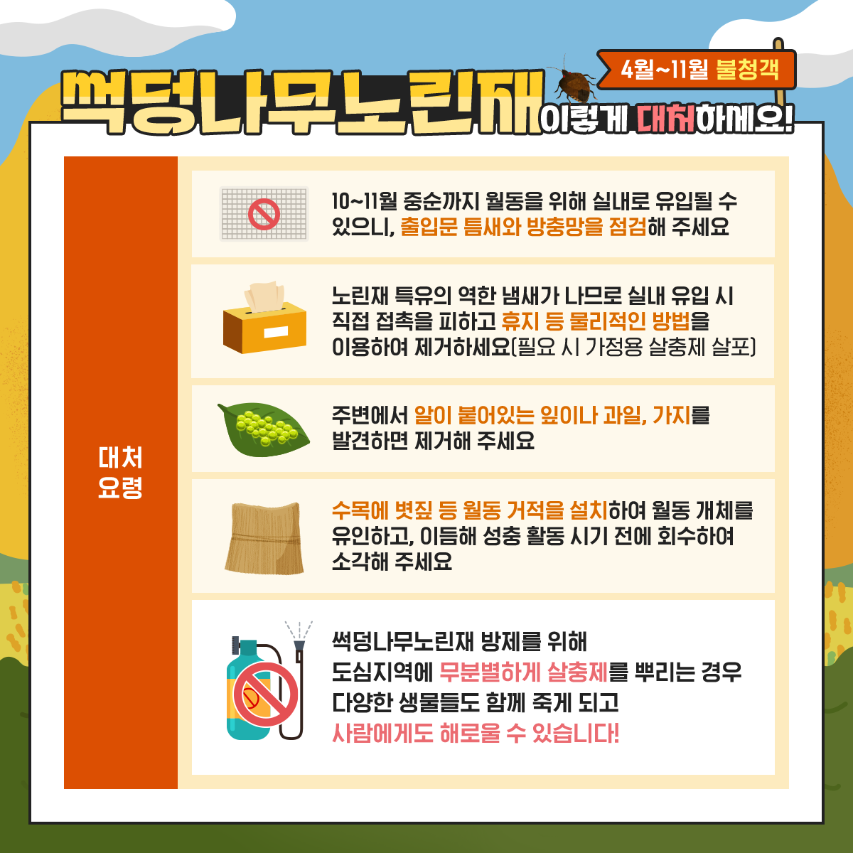 4월~11월 불청객 썩덩나무노린재 이렇게 대처하세요! 쉽게 10~11월 중순까지 월동을 위해 실내로 유입될 수 있으니, 출입문 틈새와 방충망을 점검해 주세요 노린재 특유의 역한 냄새가 나므로 실내 유입 시 직접 접촉을 피하고 휴지 등 물리적인 방법을 이용하여 제거하세요(필요 시 가정용 살충제 살포) 주변에서 알이 붙어있는 잎이나 과일, 가지를 발견하면 제거해 주세요 수목에 볏짚 등 월동 거적을 설치하여 월동 개체를 유인하고, 이듬해 성충 활동 시기 전에 회수하여 소각해 주세요 썩덩나무노린재 방제를 위해 도심지역에 무분별하게 살충제를 뿌리는 경우 다양한 생물들도 함께 죽게 되고 사람에게도 해로울 수 있습니다!