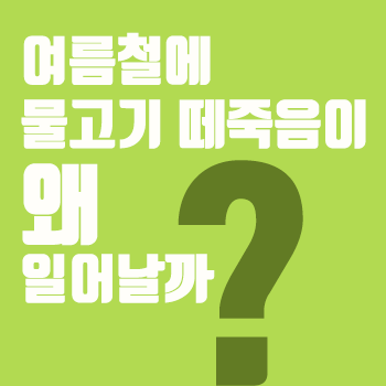 여름철에 물고기 떼죽음이 왜 일어날까?