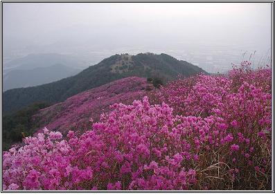 종남산