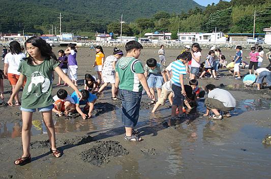 갯벌체험학습장